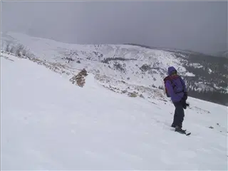 small_000112 quandaryIMG_2769.webp